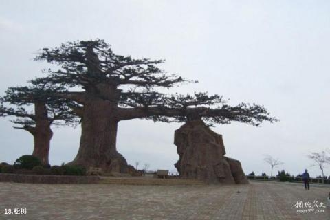 大连海之韵公园旅游攻略 之 松树