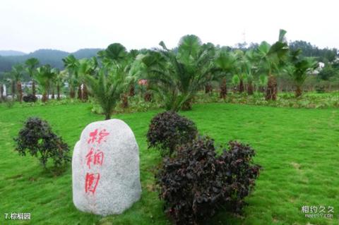 广元平乐旅游区旅游攻略 之 棕榈园