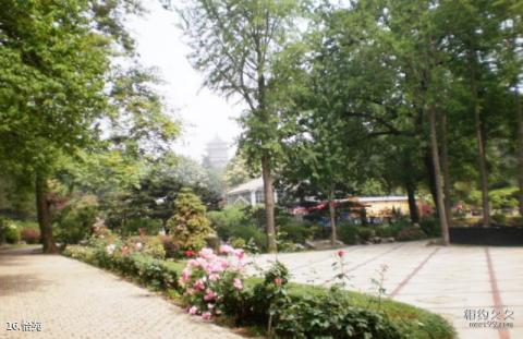 多米尼加圣多明各市旅游攻略 多米尼加圣多明各市旅游攻略