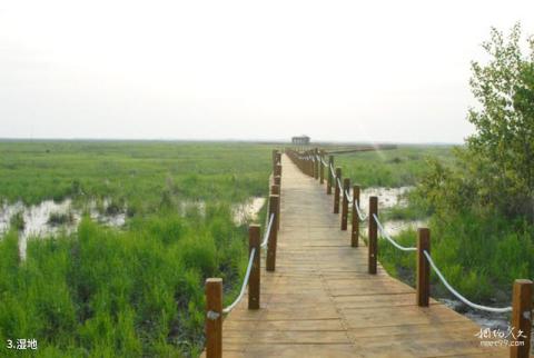 黑龙江洪河国家级自然保护区旅游攻略 之 湿地 黑龙江洪河国家级自然保护区旅游攻略 之 湿地