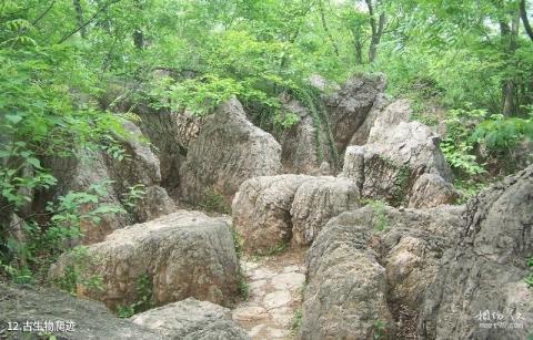 淮南八公山风景区旅游攻略 之 古生物爬迹 淮南八公山风景区旅游攻略 之 古生物爬迹