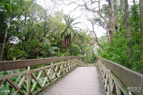 台北植物园旅游攻略 之 植物