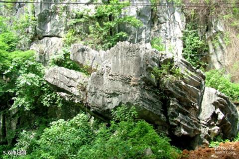 广西龙珠湖风景区旅游攻略 之 双龟出洞