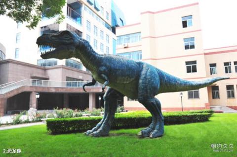 石家庄经济学院地球科学博物馆旅游攻略 之 恐龙像