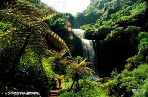 赤水风景区旅游攻略 之 赤水桫椤国家级自然保护区 赤水风景区旅游攻略 之 赤水桫椤国家级自然保护区