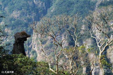 金秀大瑶山风景区旅游攻略 之 孔雀开屏