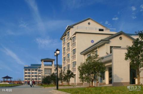 江南大学校园风光 之 桂园