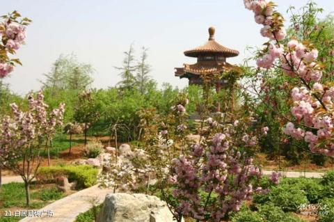 洛阳市中国国花园景区旅游攻略 之 白居易碑广场 洛阳市中国国花园景区旅游攻略 之 白居易碑广场