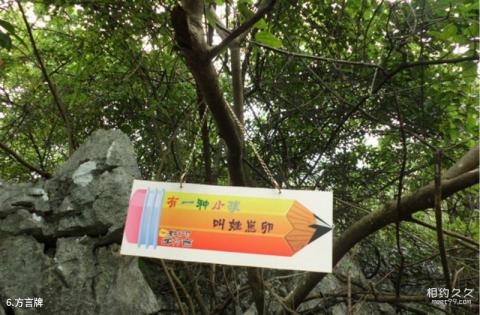 广西香桥岩风景名胜区旅游攻略 之 方言牌