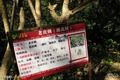 广西龙虎山风景名胜区旅游攻略 之 老虎刺 广西龙虎山风景名胜区旅游攻略 之 老虎刺
