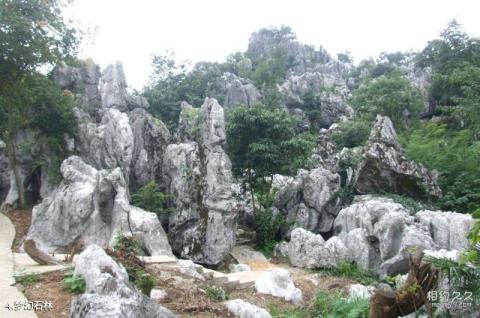 江西神农源风景名胜区旅游攻略 之 梦幻石林 江西神农源风景名胜区旅游攻略 之 梦幻石林