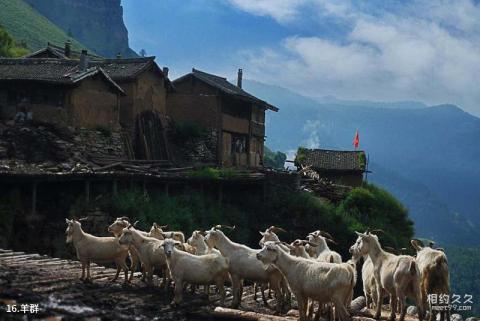 横山响铃塔旅游攻略 横山响铃塔旅游攻略