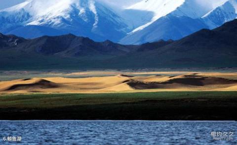 阿尔金山自然保护区旅游攻略 之 鲸鱼湖 阿尔金山自然保护区旅游攻略 之 鲸鱼湖