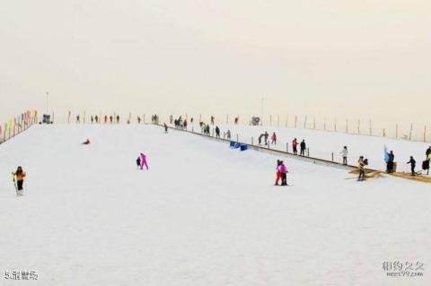 连云港景致湖西生态园旅游攻略 之 滑雪场
