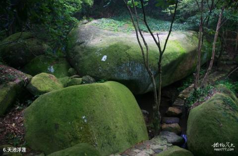 慈溪五磊山旅游攻略 之 天池浮莲 慈溪五磊山旅游攻略 之 天池浮莲