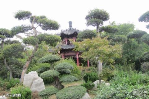 昌邑绿博园旅游攻略 之 园艺景观园