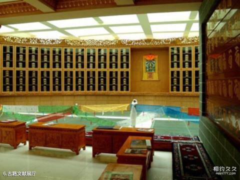 青海藏医药文化博物馆旅游攻略 之 古籍文献展厅 青海藏医药文化博物馆旅游攻略 之 古籍文献展厅