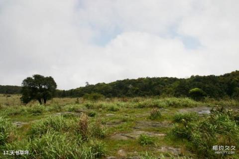 广西大明山国家级自然保护区旅游攻略 之 天书草坪