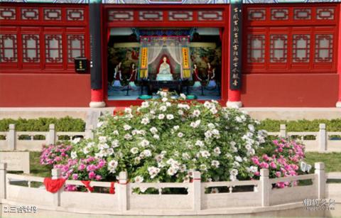 古县三合牡丹旅游攻略 之 三合牡丹 古县三合牡丹旅游攻略 之 三合牡丹