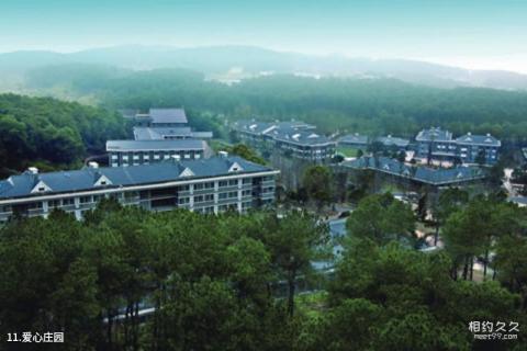 重庆铁山坪森林公园旅游攻略 之 爱心庄园