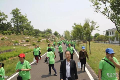 沂水沂蒙山酒文化生态旅游园旅游攻略 之 园区