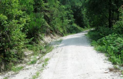 景德镇高岭·瑶里风景名胜区旅游攻略 之 尾沙堆积物