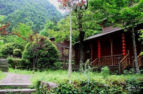 浙南箬寮原始林旅游攻略 之 原始林 浙南箬寮原始林旅游攻略 之 原始林