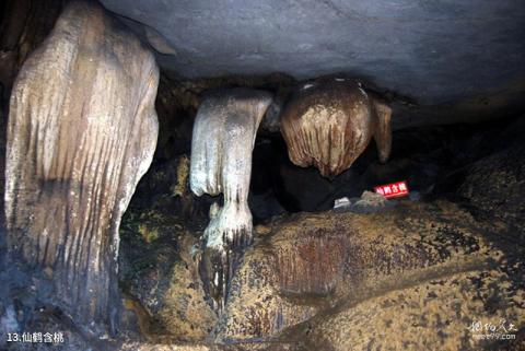 广西勾漏洞风景区旅游攻略 之 仙鹤含桃