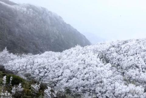 广西岑王老山国家级自然保护区旅游攻略 之 冬景
