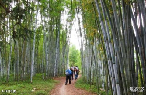 河源东江画廊风景区旅游攻略 之 绿竹长廊 河源东江画廊风景区旅游攻略 之 绿竹长廊