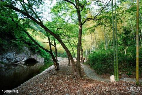 泾县水墨汀溪风景区旅游攻略 之 风情林荫道