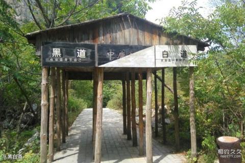 宝鸡太白青峰峡森林公园旅游攻略 之 黑白道