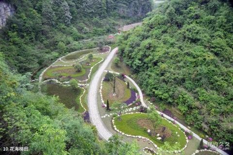 龙里中铁双龙镇巫山峡谷旅游景区旅游攻略 之 花海梯田