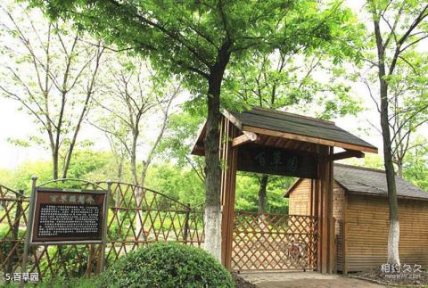 昆山城市生态森林公园旅游攻略 之 百草园