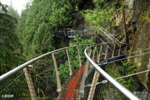 加拿大卡皮拉诺吊桥公园旅游攻略 之 斜拉桥