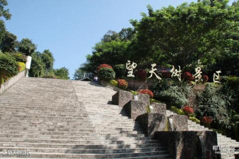 西双版纳望天树景区旅游攻略 之 望天树景区