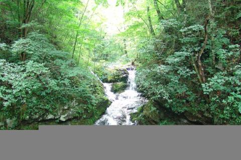 岳西鹞落坪国家级自然保护区旅游攻略 之 鹞落坪