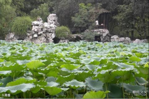 湖州市菰城景区旅游攻略 之 荷香