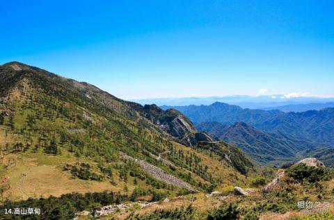 西安朱雀国家森林公园旅游攻略 之 高山草甸