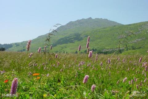 保加利亚索非亚市旅游攻略 之 维托沙山