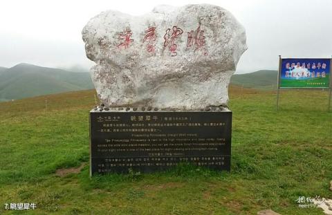 曲靖会泽大海草山旅游攻略 之 眺望犀牛