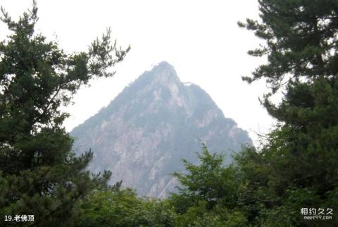 安徽万佛山国家森林公园旅游攻略 之 老佛顶 安徽万佛山国家森林公园旅游攻略 之 老佛顶