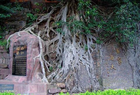 佛山南风古灶旅游区旅游攻略 之 古灶榕风 佛山南风古灶旅游区旅游攻略 之 古灶榕风