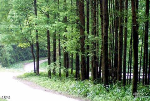 龙里猴子沟风景区旅游攻略 之 峡谷
