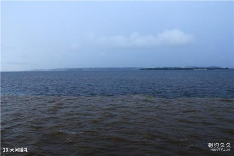 巴西亚马逊雨林旅游攻略 之 大河婚礼 巴西亚马逊雨林旅游攻略 之 大河婚礼