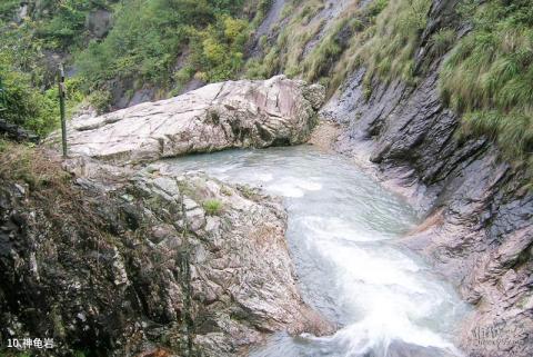 寨寮溪风景名胜区旅游攻略 之 神龟岩