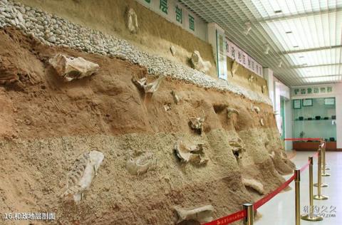 和政古动物化石博物馆旅游攻略 之 和政地层剖面 和政古动物化石博物馆旅游攻略 之 和政地层剖面
