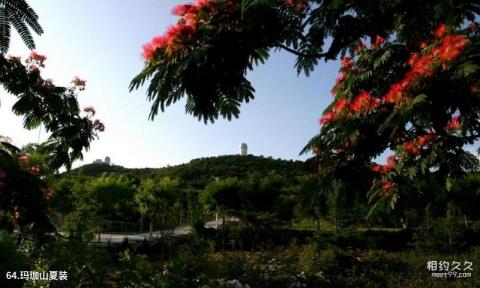 山东大学校园风光 之 玛珈山夏装