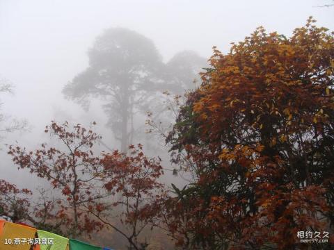 海螺沟冰川森林公园旅游攻略 之 燕子沟风景区 海螺沟冰川森林公园旅游攻略 之 燕子沟风景区