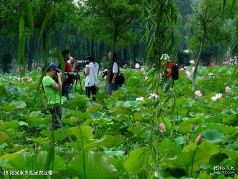 贵阳花溪风景区旅游攻略 之 阳光水乡观光农业带 贵阳花溪风景区旅游攻略 之 阳光水乡观光农业带